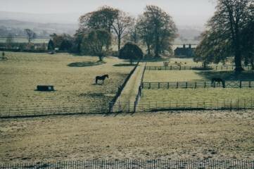 Whittington Hall Long Walk